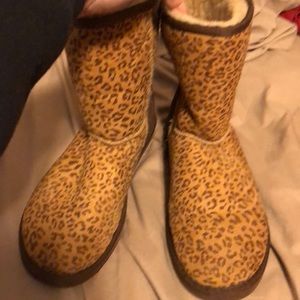 Leopard Uggs